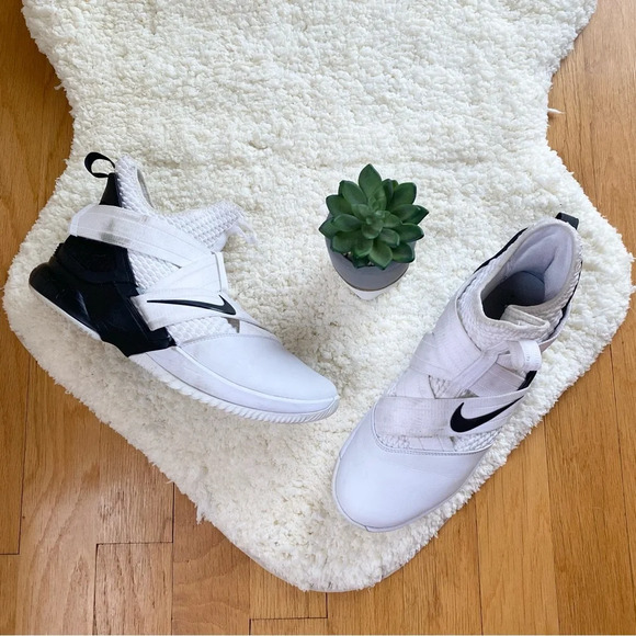 lebron soldier xii sfg sneaker